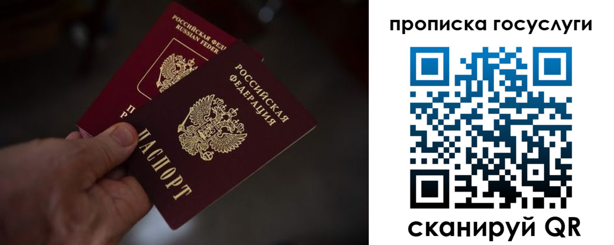 прописка ребенка в Дятьково