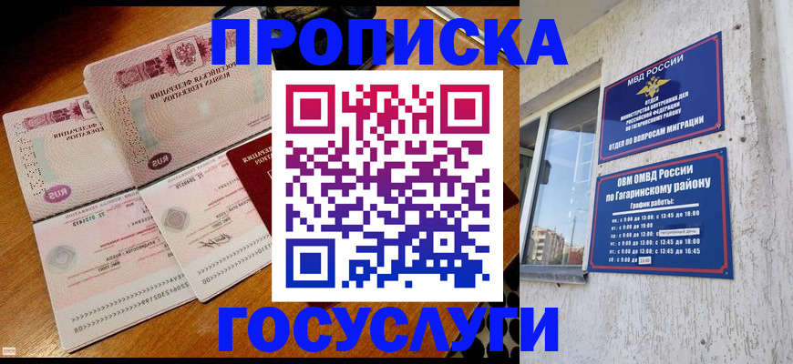 где прописаться в Дятьково